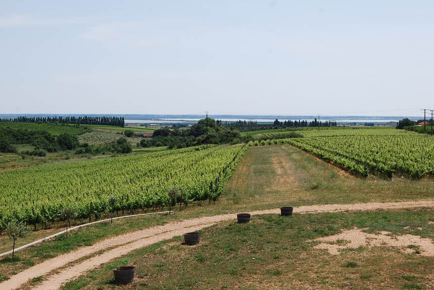 夏布利一級園 Chablis Premier Cru