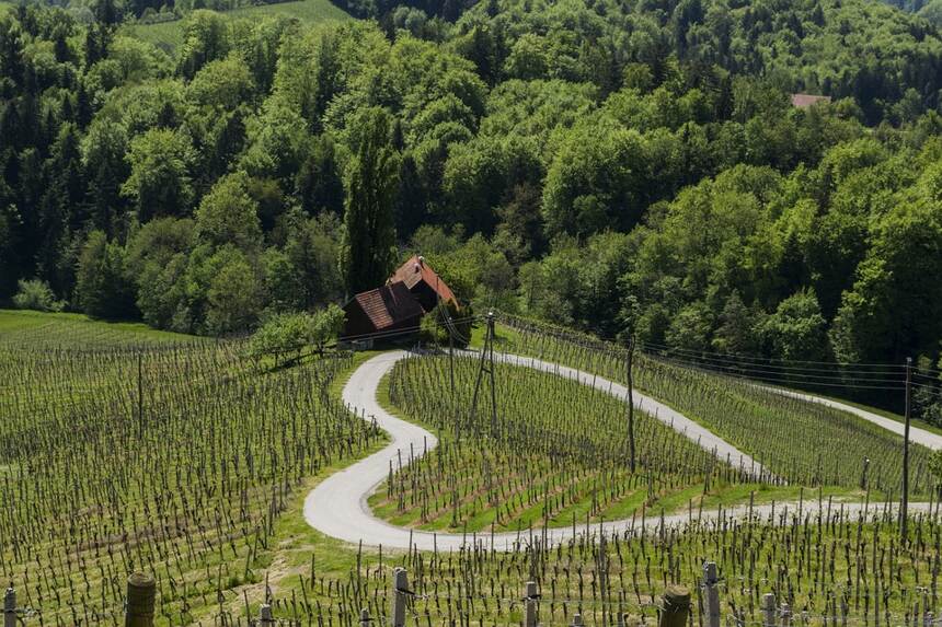 圣莫里斯 Cotes du Rhone Villages Saint-Maurice