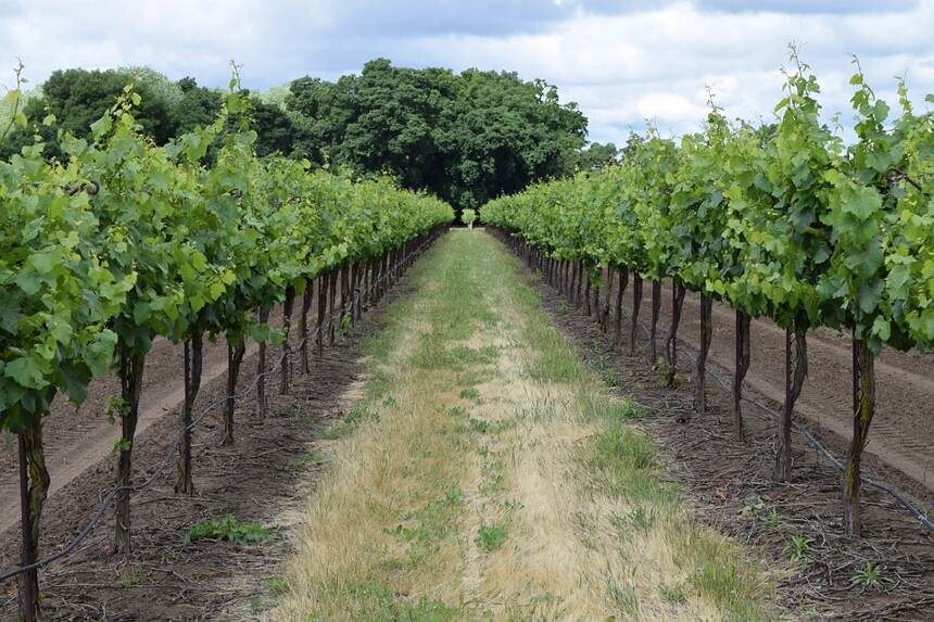 凱爾西山坡 Coteaux du Quercy