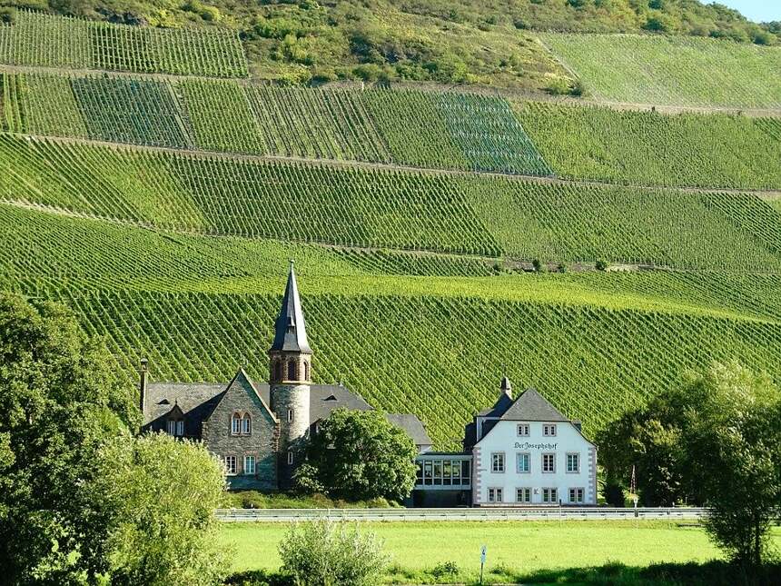 香貝丹-貝斯特級園 Chambertin Clos-de-Beze