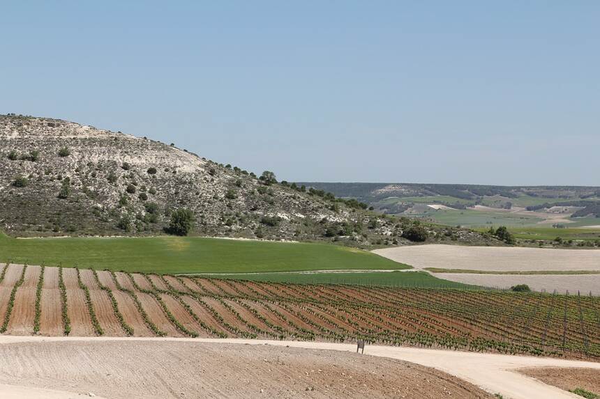 馬雷斯泰爾 Roussette de Savoie Marestel