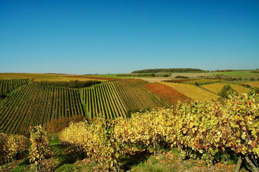 布爾格伊-圣尼古拉 Saint-Nicolas de Bourgueil