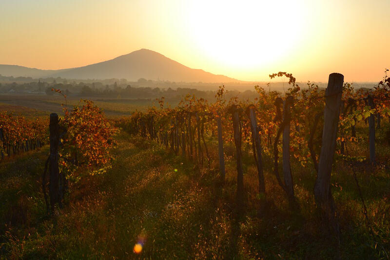 布魯依 Brouilly