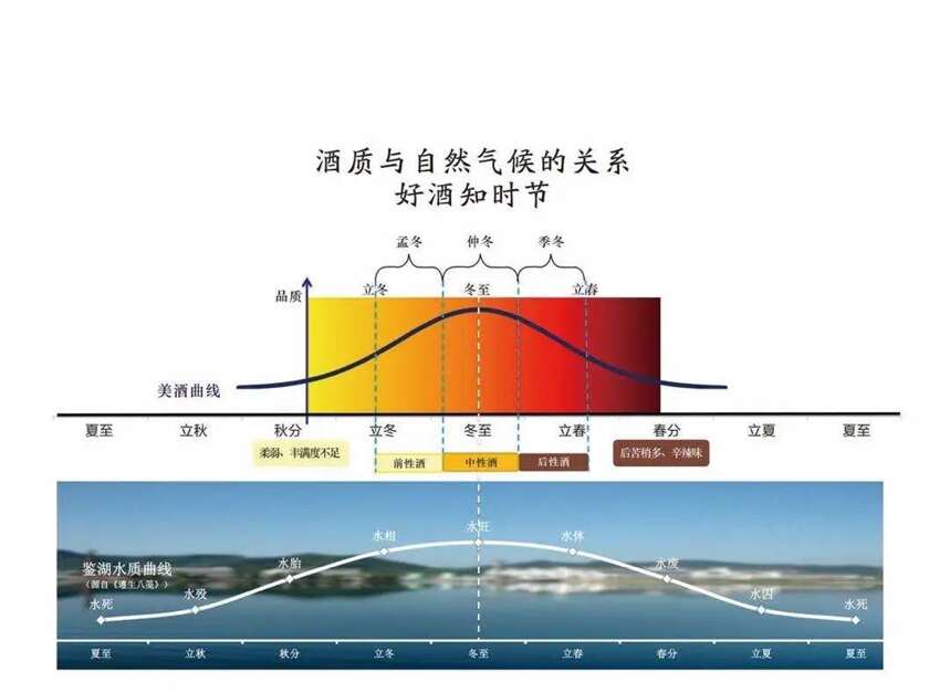 2016塔牌本原酒——樸實無華的外表下蘊含著莫大的可能