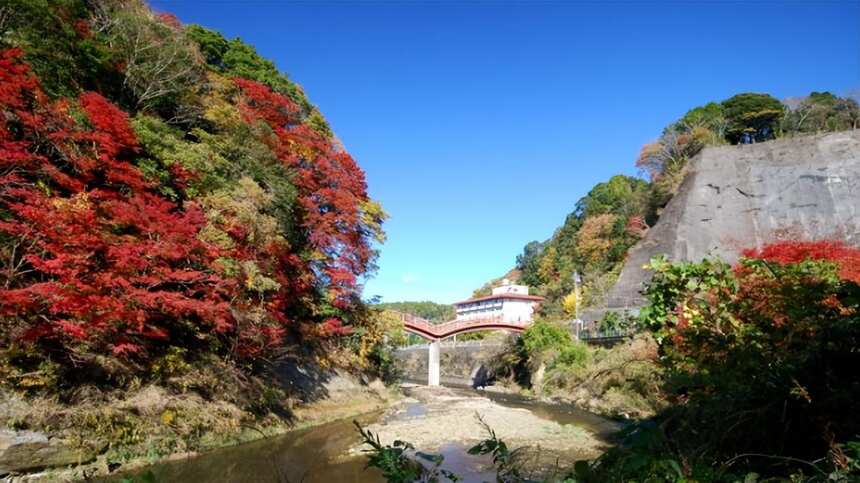 日本酒地圖｜東京后花園——千葉縣的獨特清酒魅力！