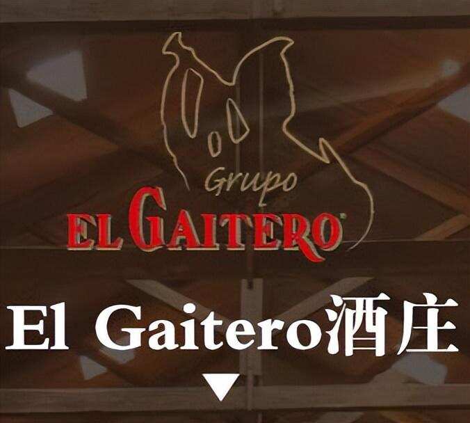 El Gaitero酒莊全世界最有名的蘋果酒出產酒莊